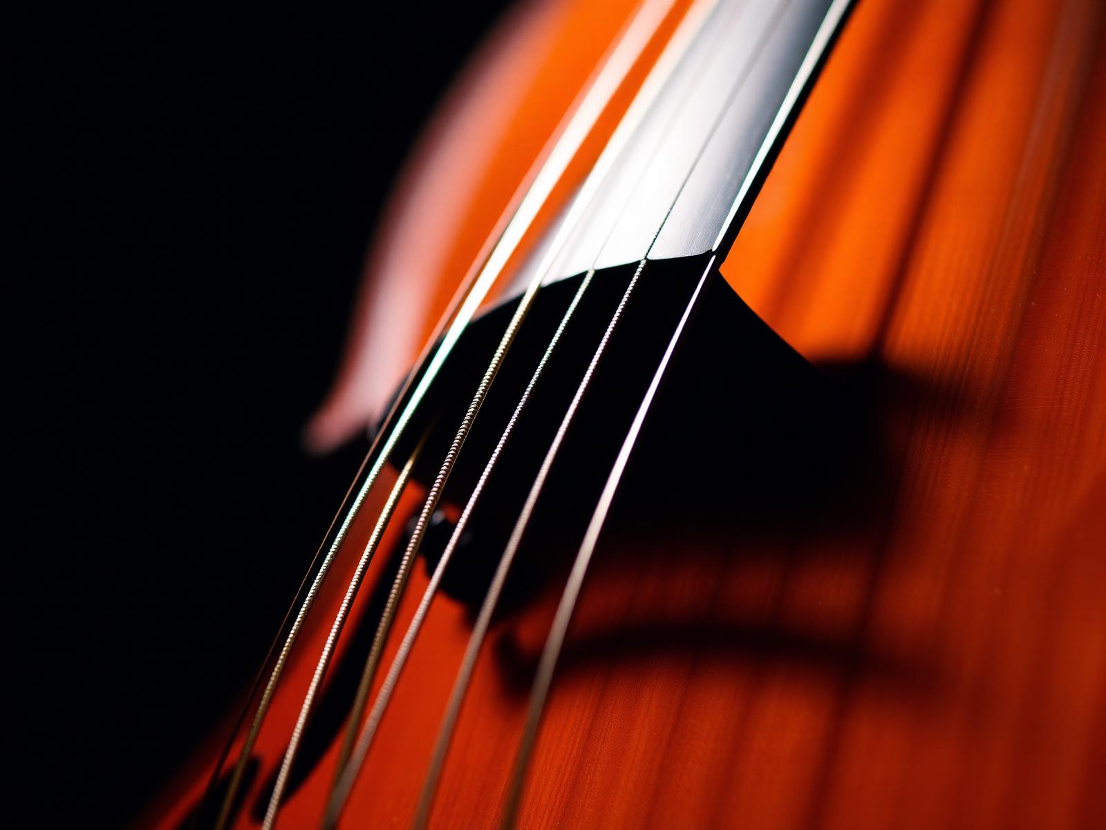 Formación musical